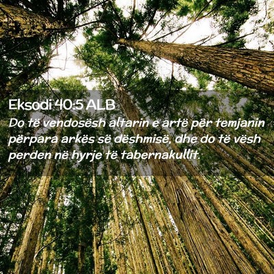 Picture 02 - Eksodi 40:5 ALB - Do të vendosësh altarin e artë për temjanin - Bible Verse Picture
