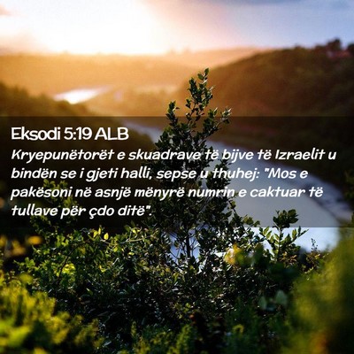 Picture 02 - Eksodi 5:19 ALB - Kryepunëtorët e skuadrave të bijve të - Bible Verse Picture