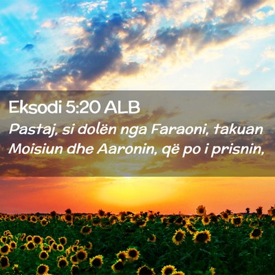 Picture 02 - Eksodi 5:20 ALB - Pastaj, si dolën nga Faraoni, takuan Moisiun dhe - Bible Verse Picture