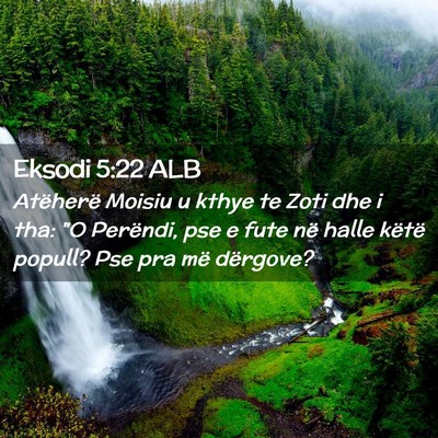 Picture 02 - Eksodi 5:22 ALB - Atëherë Moisiu u kthye te Zoti dhe i tha: 