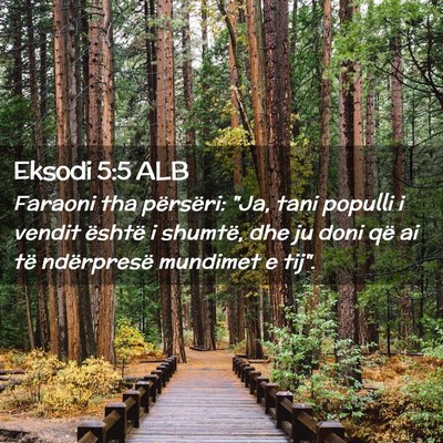 Picture 02 - Eksodi 5:5 ALB - Faraoni tha përsëri: 
