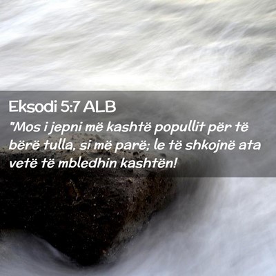 Picture 02 - Eksodi 5:7 ALB - 