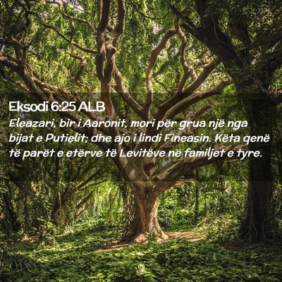 Picture 02 - Eksodi 6:25 ALB - Eleazari, bir i Aaronit, mori për grua një nga - Bible Verse Picture