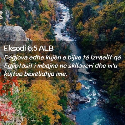 Picture 02 - Eksodi 6:5 ALB - Dëgjova edhe kujën e bijve të Izraelit që - Bible Verse Picture