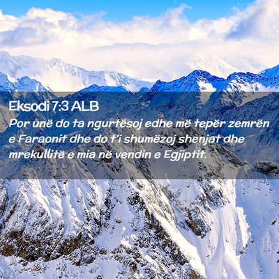 Picture 02 - Eksodi 7:3 ALB - Por unë do ta ngurtësoj edhe më tepër zemrën - Bible Verse Picture