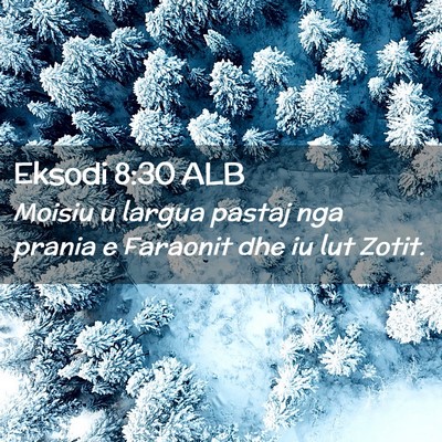 Picture 02 - Eksodi 8:30 ALB - Moisiu u largua pastaj nga prania e Faraonit dhe - Bible Verse Picture