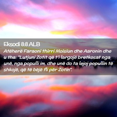 Picture 02 - Eksodi 8:8 ALB - Atëherë Faraoni thirri Moisiun dhe Aaronin dhe - Bible Verse Picture