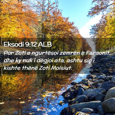 Picture 02 - Eksodi 9:12 ALB - Por Zoti e ngurtësoi zemrën e Faraonit, dhe ky - Bible Verse Picture