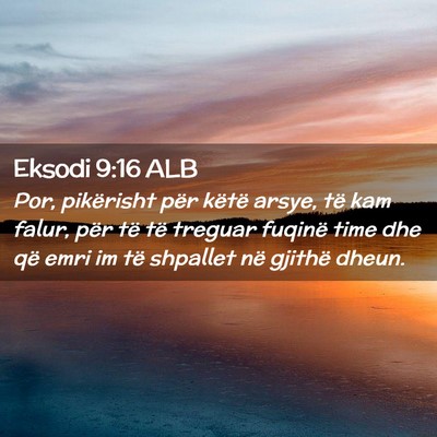 Picture 02 - Eksodi 9:16 ALB - Por, pikërisht për këtë arsye, të kam falur, - Bible Verse Picture