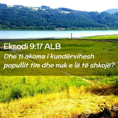 Picture 02 - Eksodi 9:17 ALB - Dhe ti akoma i kundërvihesh popullit tim dhe nuk - Bible Verse Picture