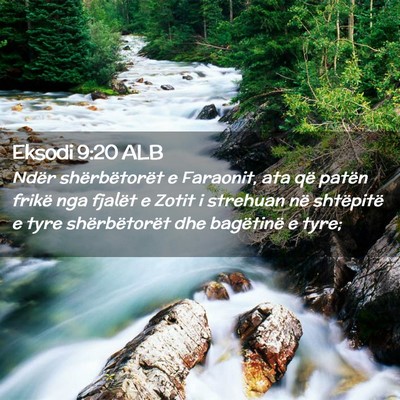 Picture 02 - Eksodi 9:20 ALB - Ndër shërbëtorët e Faraonit, ata që patën - Bible Verse Picture