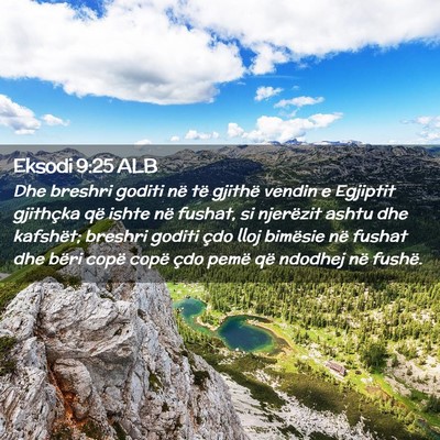 Picture 02 - Eksodi 9:25 ALB - Dhe breshri goditi në të gjithë vendin e - Bible Verse Picture