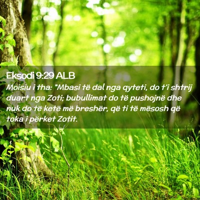 Picture 02 - Eksodi 9:29 ALB - Moisiu i tha: 