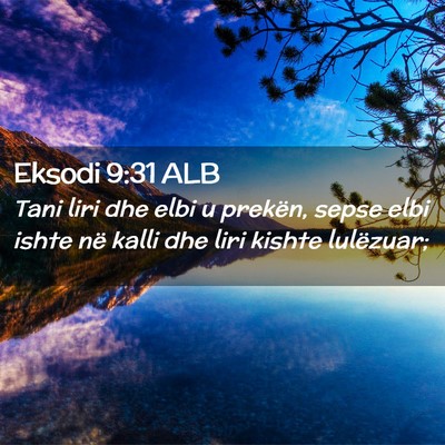 Picture 02 - Eksodi 9:31 ALB - Tani liri dhe elbi u prekën, sepse elbi ishte - Bible Verse Picture