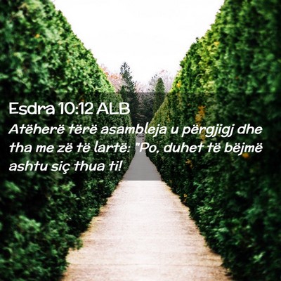 Picture 02 - Esdra 10:12 ALB - Atëherë tërë asambleja u përgjigj dhe tha me - Bible Verse Picture