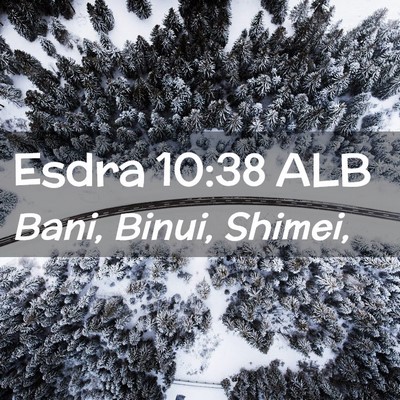 Picture 02 - Esdra 10:38 ALB - Bani, Binui, - Bible Verse Picture