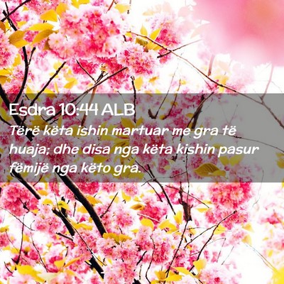 Picture 02 - Esdra 10:44 ALB - Tërë këta ishin martuar me gra të huaja; dhe - Bible Verse Picture