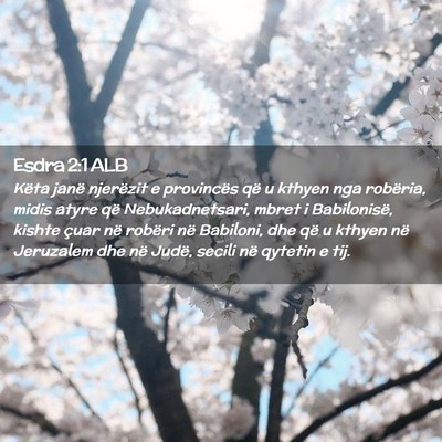 Picture 02 - Esdra 2:1 ALB - Këta janë njerëzit e provincës që u kthyen - Bible Verse Picture