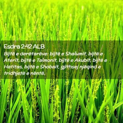 Picture 02 - Esdra 2:42 ALB - Bijtë e derëtarëve: bijtë e Shalumit, bijtë - Bible Verse Picture