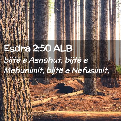 Picture 02 - Esdra 2:50 ALB - bijtë e Asnahut, bijtë e Mehunimit, bijtë e - Bible Verse Picture