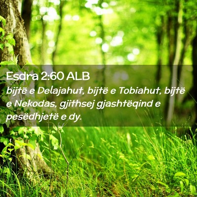 Picture 02 - Esdra 2:60 ALB - bijtë e Delajahut, bijtë e Tobiahut, bijtë e - Bible Verse Picture