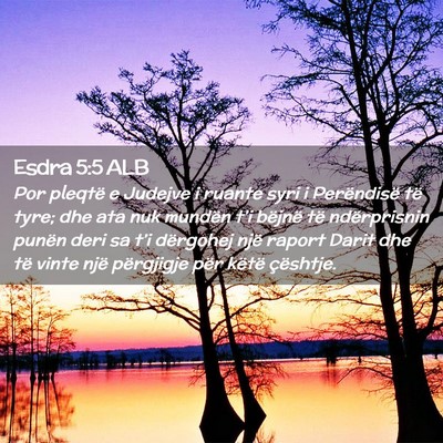 Picture 02 - Esdra 5:5 ALB - Por pleqtë e Judejve i ruante syri i Perëndisë - Bible Verse Picture