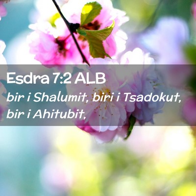 Picture 02 - Esdra 7:2 ALB - bir i Shalumit, biri i Tsadokut, bir i - Bible Verse Picture