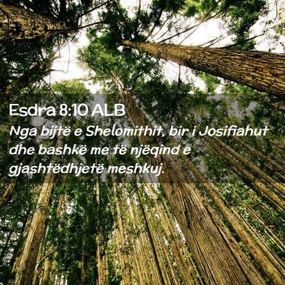 Picture 02 - Esdra 8:10 ALB - Nga bijtë e Shelomithit, bir i Josifiahut dhe - Bible Verse Picture