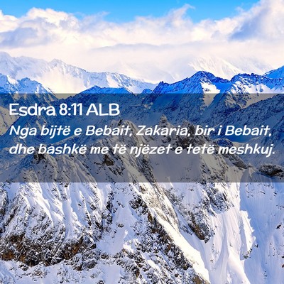 Picture 02 - Esdra 8:11 ALB - Nga bijtë e Bebait, Zakaria, bir i Bebait, dhe - Bible Verse Picture