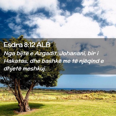 Picture 02 - Esdra 8:12 ALB - Nga bijtë e Azgadit, Johanani, bir i Hakatas, - Bible Verse Picture