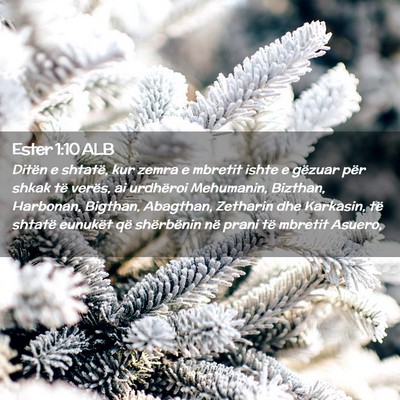 Picture 02 - Ester 1:10 ALB - Ditën e shtatë, kur zemra e mbretit ishte e - Bible Verse Picture