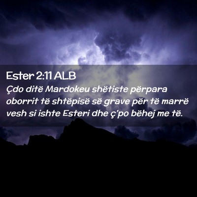 Picture 02 - Ester 2:11 ALB - Çdo ditë Mardokeu shëtiste përpara oborrit - Bible Verse Picture