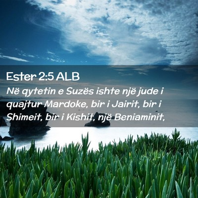 Picture 02 - Ester 2:5 ALB - Në qytetin e Suzës ishte një jude i quajtur - Bible Verse Picture