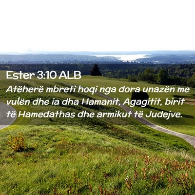 Picture 02 - Ester 3:10 ALB - Atëherë mbreti hoqi nga dora unazën me vulën - Bible Verse Picture