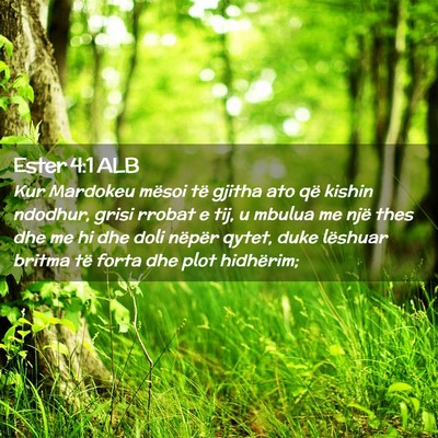 Picture 02 - Ester 4:1 ALB - Kur Mardokeu mësoi të gjitha ato që kishin - Bible Verse Picture