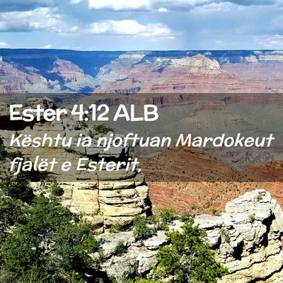 Picture 02 - Ester 4:12 ALB - Kështu ia njoftuan Mardokeut fjalët e - Bible Verse Picture