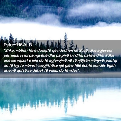 Picture 02 - Ester 4:16 ALB - 