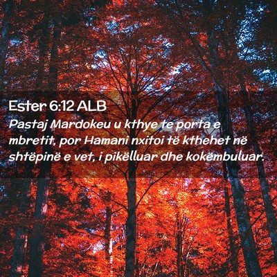 Picture 02 - Ester 6:12 ALB - Pastaj Mardokeu u kthye te porta e mbretit, por - Bible Verse Picture