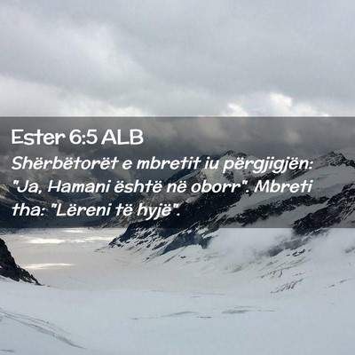 Picture 02 - Ester 6:5 ALB - Shërbëtorët e mbretit iu përgjigjën: 
