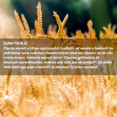 Picture 02 - Ester 7:8 ALB - Pastaj mbreti u kthye nga kopshti i pallatit, në - Bible Verse Picture