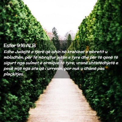 Picture 02 - Ester 9:16 ALB - Edhe Judejtë e tjerë që ishin në krahinat e - Bible Verse Picture