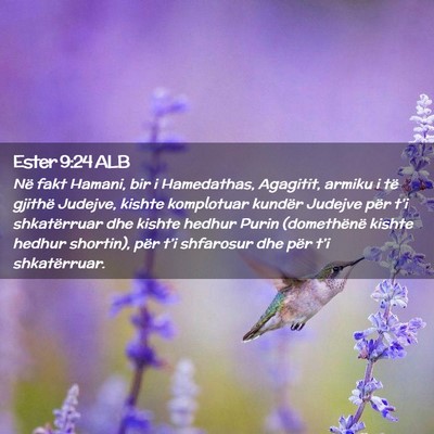 Picture 02 - Ester 9:24 ALB - Në fakt Hamani, bir i Hamedathas, Agagitit, - Bible Verse Picture