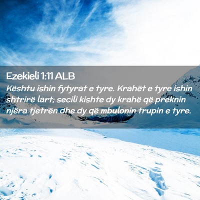 Picture 02 - Ezekieli 1:11 ALB - Kështu ishin fytyrat e tyre. Krahët e tyre - Bible Verse Picture