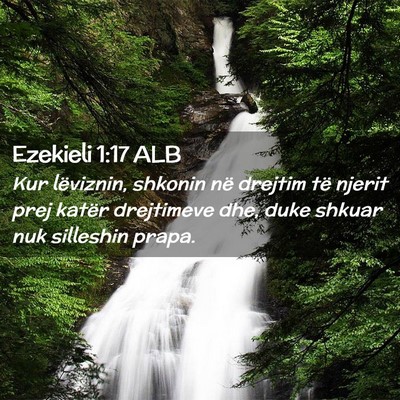 Picture 02 - Ezekieli 1:17 ALB - Kur lëviznin, shkonin në drejtim të njerit - Bible Verse Picture