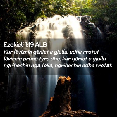 Picture 02 - Ezekieli 1:19 ALB - Kur lëviznin qëniet e gjalla, edhe rrotat - Bible Verse Picture