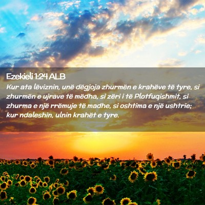 Picture 02 - Ezekieli 1:24 ALB - Kur ata lëviznin, unë dëgjoja zhurmën e - Bible Verse Picture