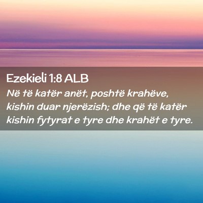 Picture 02 - Ezekieli 1:8 ALB - Në të katër anët, poshtë krahëve, kishin - Bible Verse Picture