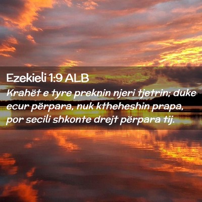 Picture 02 - Ezekieli 1:9 ALB - Krahët e tyre preknin njeri tjetrin; duke ecur - Bible Verse Picture
