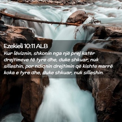 Picture 02 - Ezekieli 10:11 ALB - Kur lëviznin, shkonin nga një prej katër - Bible Verse Picture