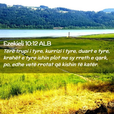 Picture 02 - Ezekieli 10:12 ALB - Tërë trupi i tyre, kurrizi i tyre, duart e - Bible Verse Picture